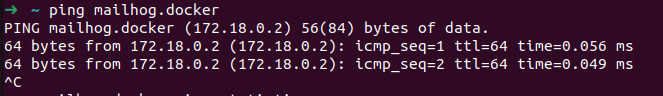 Ping Docker Container